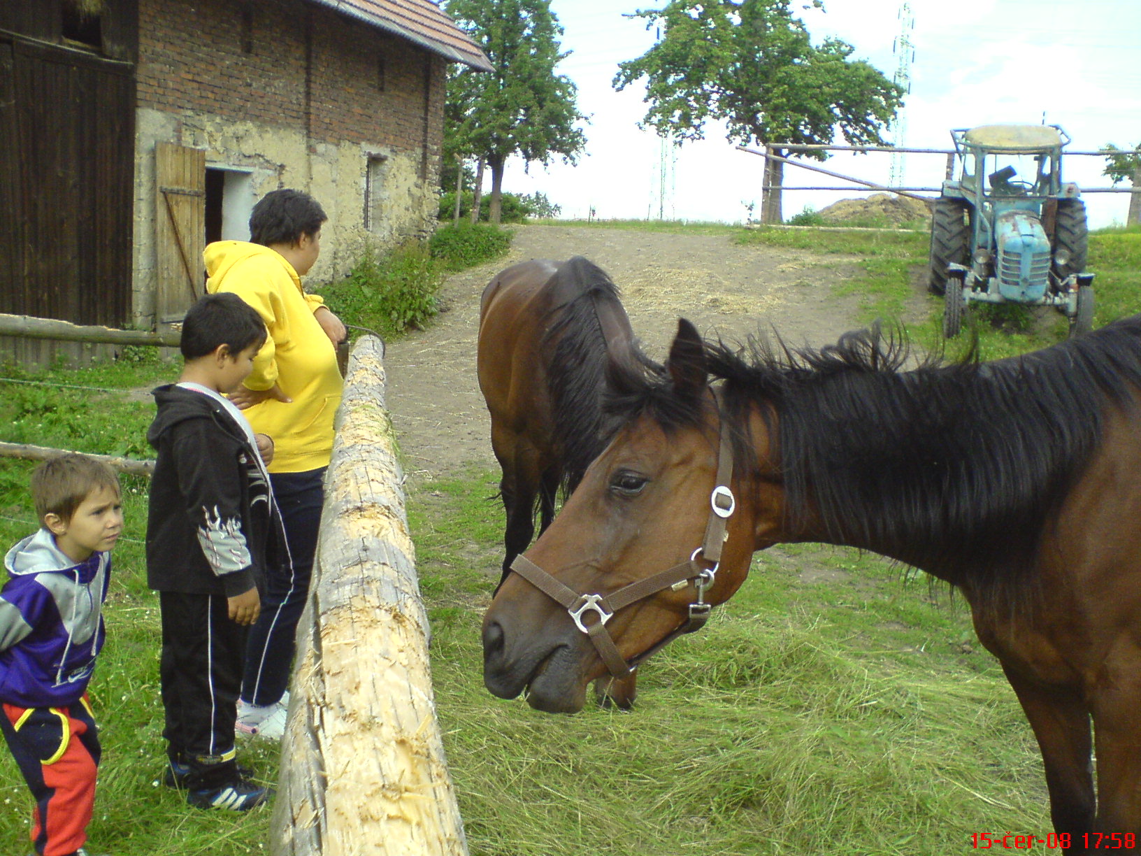 u koníčků